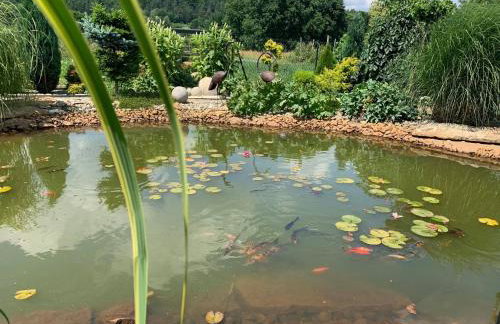 Siedlisko Przyjazne Progi - Foto 18