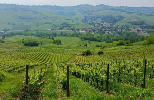 [Oltrepo'] Dimora nei vigneti vicino a Ics Maugeri - Foto 22