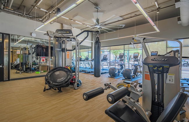 ROVE LIVING/KL - Iluminate - Foto 58