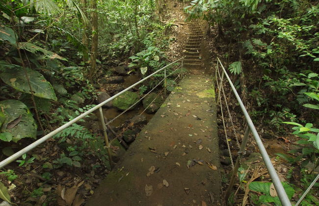 Villas Josipek - Foto 80