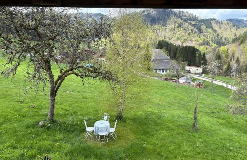 Historisches Schwarzwaldhaus - Foto 61