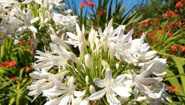 Le fournil - Foto 4, Garden, Garden view