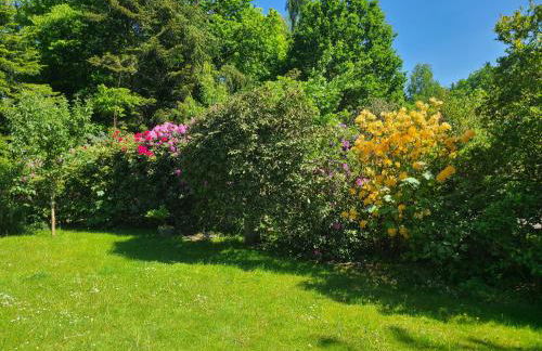 Ferienhaus Voigt - Foto 3