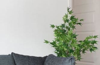 Luxury 2 bed house in Dartford, United Kingdom - Foto 28