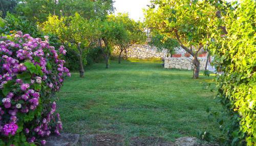 Villa Belfronte - Photo 4, Garden view