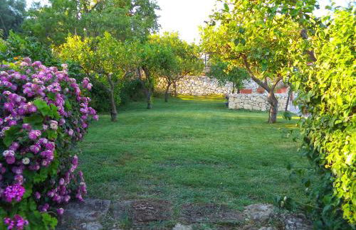 Villa Belfronte - Photo 4