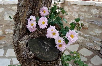 Mountain Ηouse in Arcadia - Foto 25