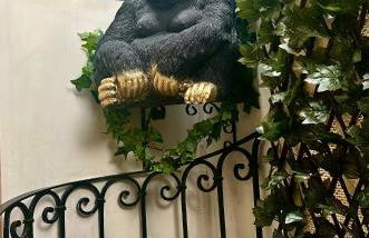 Jungle Gite - Foto 2