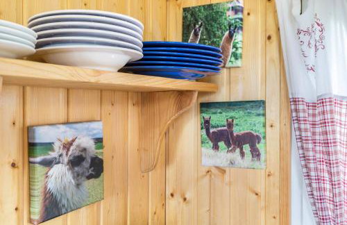 Tinyhouse Alpakawiese - Foto 10