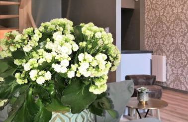 Perlépampille - Foto 22