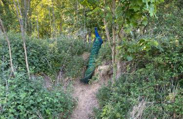 Paddock View - Snetterton Norfolk - Foto 20