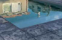 La Casetta di Camelia - Foto 1