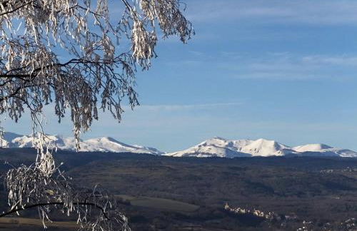 L'Alphonsine - Foto 14