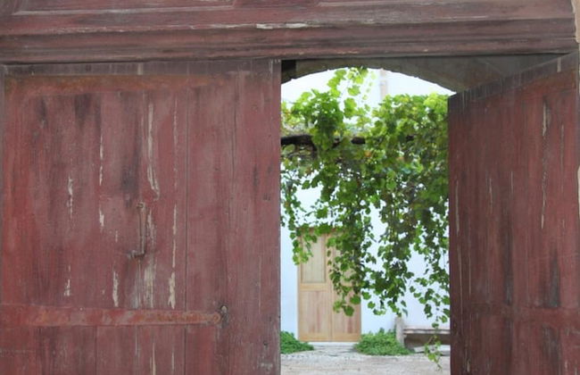 Agriturismo Castelluzzo - Foto 40