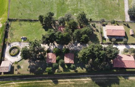 Las Casitas del Pinar - Foto 14