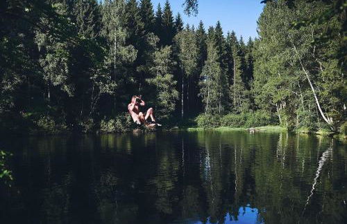 Blickinsfreie - Cabin - Foto 53