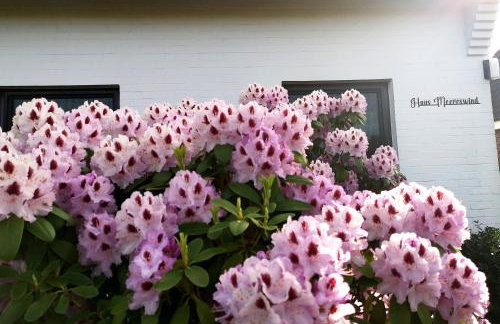 Haus Meereswind Esens, Wintergarten mit Kamin - Foto 19