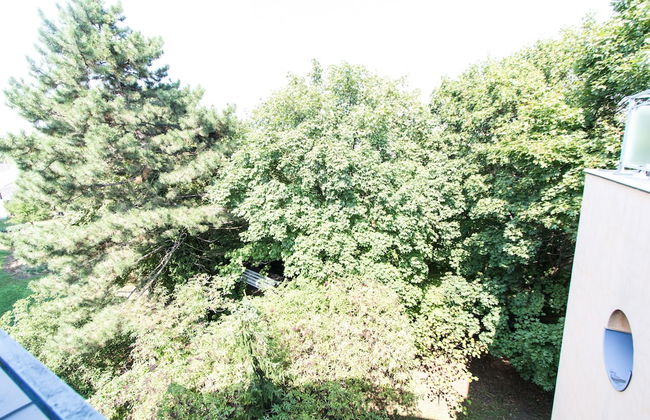 Apartment Hofwiesengasse - Foto 38