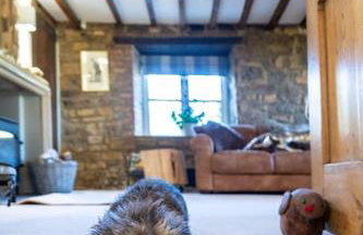 Peaceful Riverside Five Bed Cottage in Somerset - Foto 39