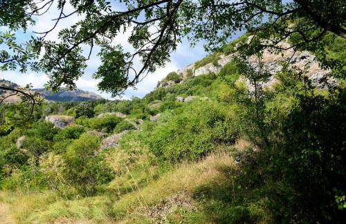 Chalet di montagna - Foto 28