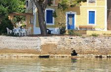 Yard of Epicurus - Η Αυλή του Επίκουρου - Foto 54