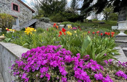 Mazzetti Country House-Vita in campagna con giardino - Foto 15