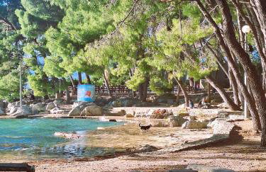 Apartment Mangus - Photo 35