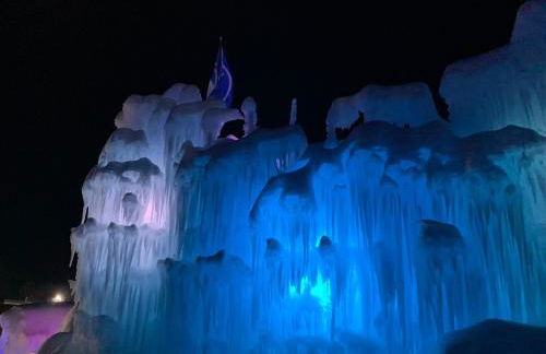 BMV4 Tiny Home with sleeping loft - Foto 33