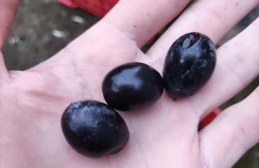 Sicily Sea House - Foto 20