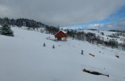 Orle Gniazdo - Foto 46