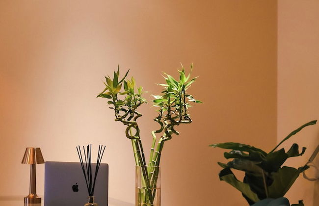 Castello di Pandora - Foto 3