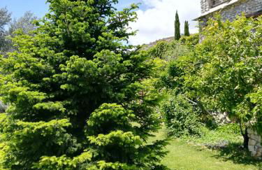 Bancal de Los Pérez - Foto 7