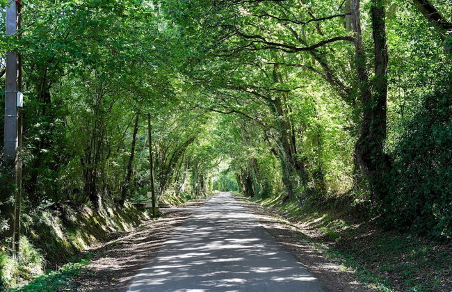 Apartment in Branville in a Nice Area - Foto 59