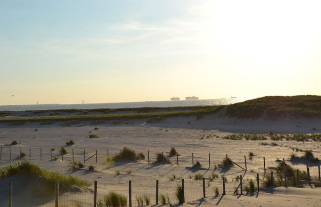 Bungalow in Netherlands With Ship-like Design - Photo 35