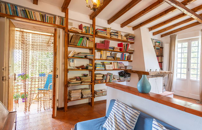 Bouganville - Foto 5