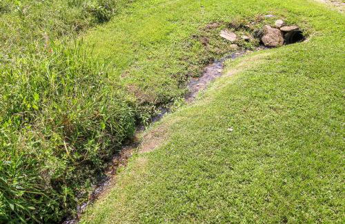 Country Classic - Foto 32