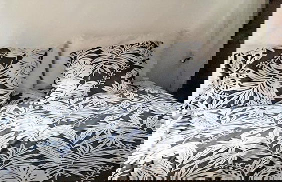 Finca La Principal - Foto 21