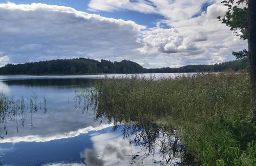 AŻ POD LAS - Foto 34