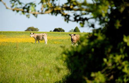 Talehay Cottages - Foto 47