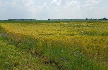 Silence Villa - Foto 26