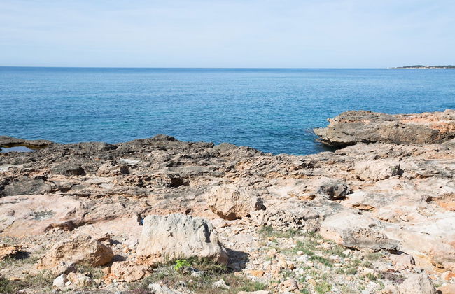 Mosaic in Sa R Pita - Foto 20