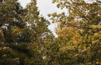 Okno na Beskidy - Foto 41