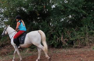 FAMILY APARTMENT ZRNKA s besplatnim parkingom - Photo 62