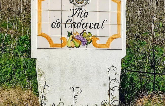 Cozy Vacation Rental in Peaceful Peral, Portugal - Photo 19