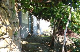 Lazy Lizard by the Ocean - Foto 69