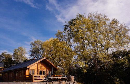 Bothy Cabin -Log cabin in wales - with hot tub - Foto 1