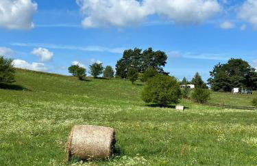 Lake House Borowe - Foto 68