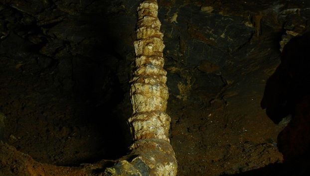 God Caves & Quintas Carolinas - Photo 3