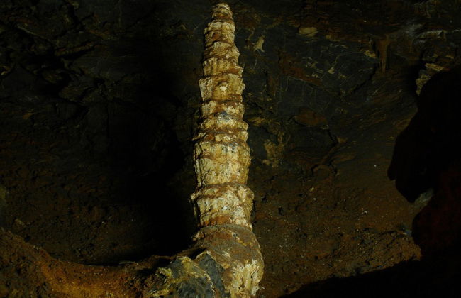 God Caves & Quintas Carolinas - Photo 3