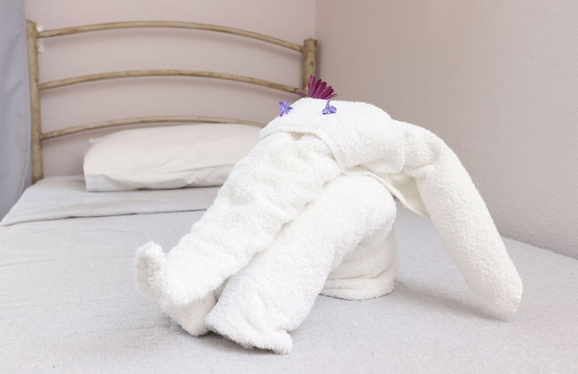 Summer Dream Hotel - Foto 24